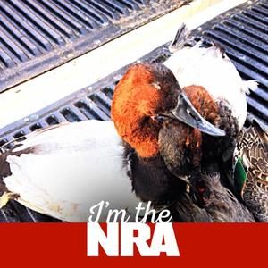 Meet your Posher, Adam